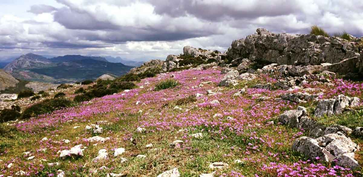 Wandern Monte Huma Andalusien Wandern Monte Huma Andalusien